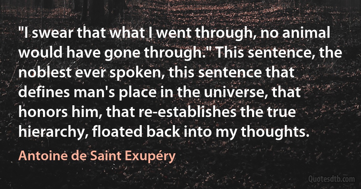 "I swear that what I went through, no animal would have gone through." This sentence, the noblest ever spoken, this sentence that defines man's place in the universe, that honors him, that re-establishes the true hierarchy, floated back into my thoughts. (Antoine de Saint Exupéry)