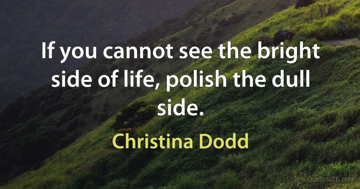 If you cannot see the bright side of life, polish the dull side. (Christina Dodd)