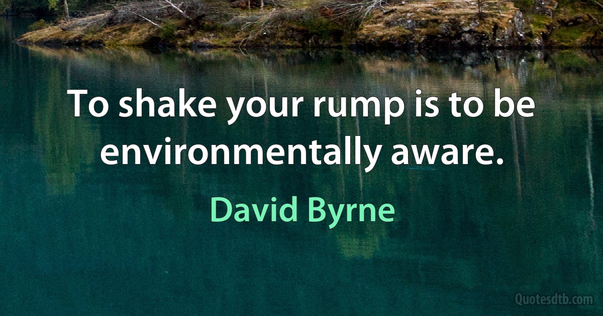 To shake your rump is to be environmentally aware. (David Byrne)