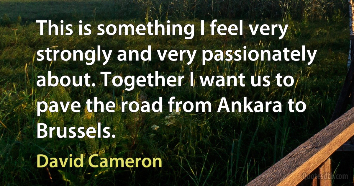 This is something I feel very strongly and very passionately about. Together I want us to pave the road from Ankara to Brussels. (David Cameron)