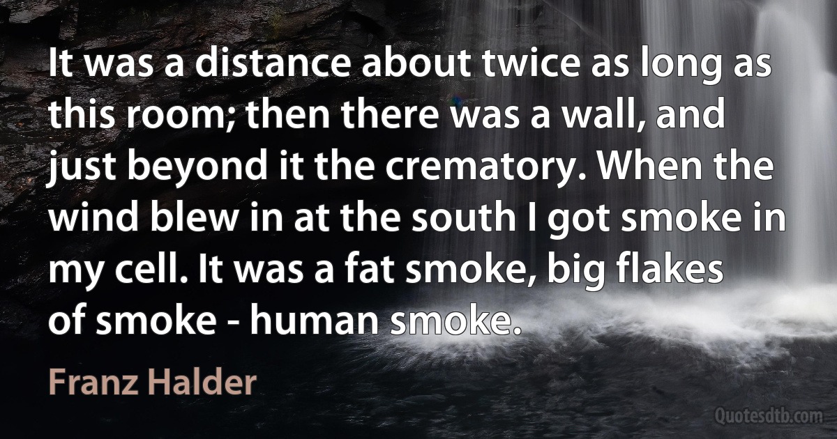 It was a distance about twice as long as this room; then there was a wall, and just beyond it the crematory. When the wind blew in at the south I got smoke in my cell. It was a fat smoke, big flakes of smoke - human smoke. (Franz Halder)