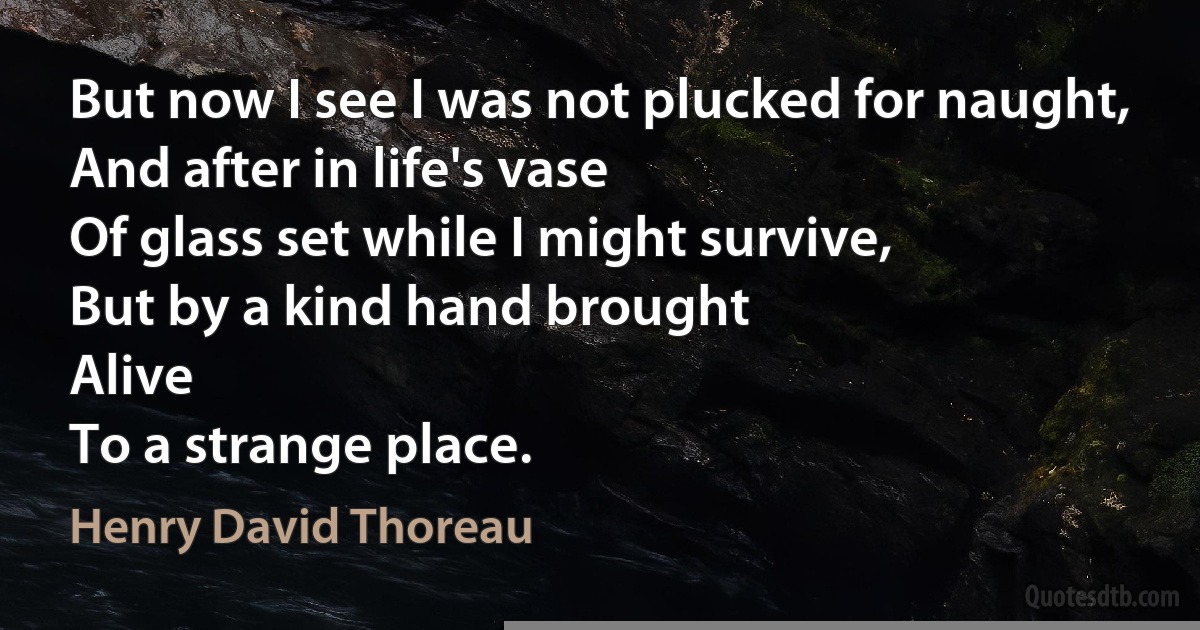 But now I see I was not plucked for naught,
And after in life's vase
Of glass set while I might survive,
But by a kind hand brought
Alive
To a strange place. (Henry David Thoreau)