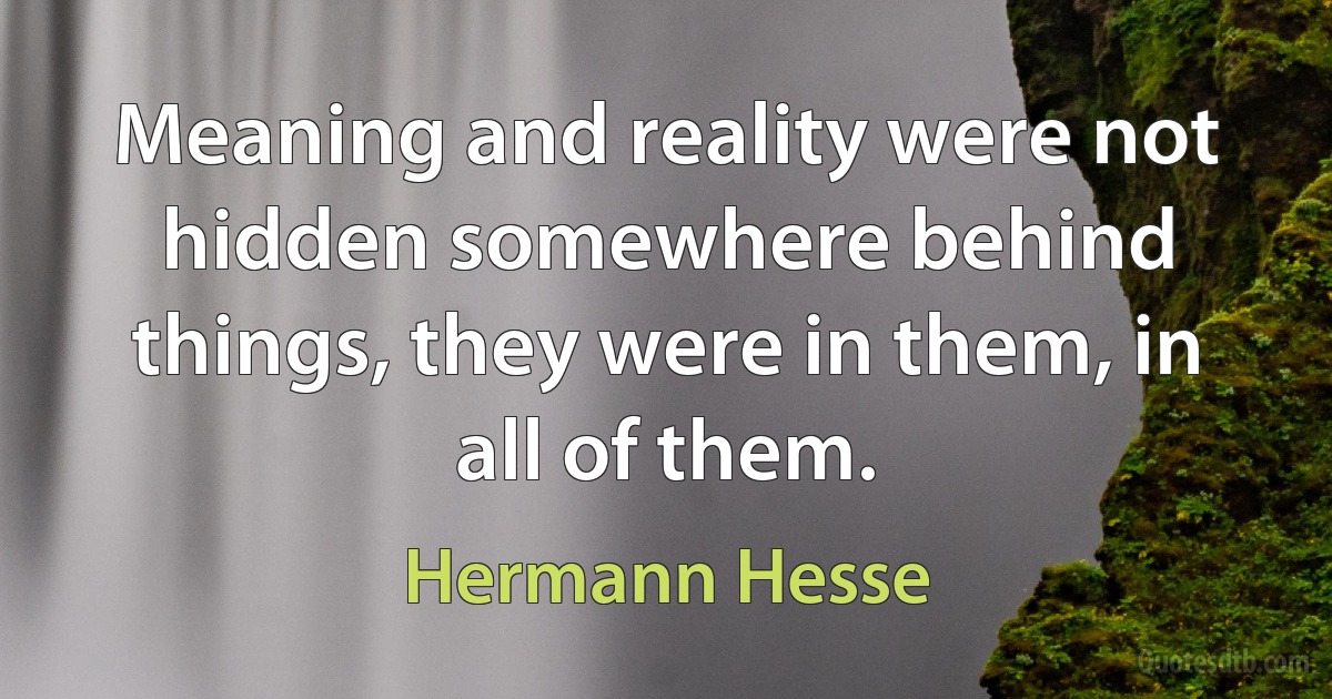 Meaning and reality were not hidden somewhere behind things, they were in them, in all of them. (Hermann Hesse)