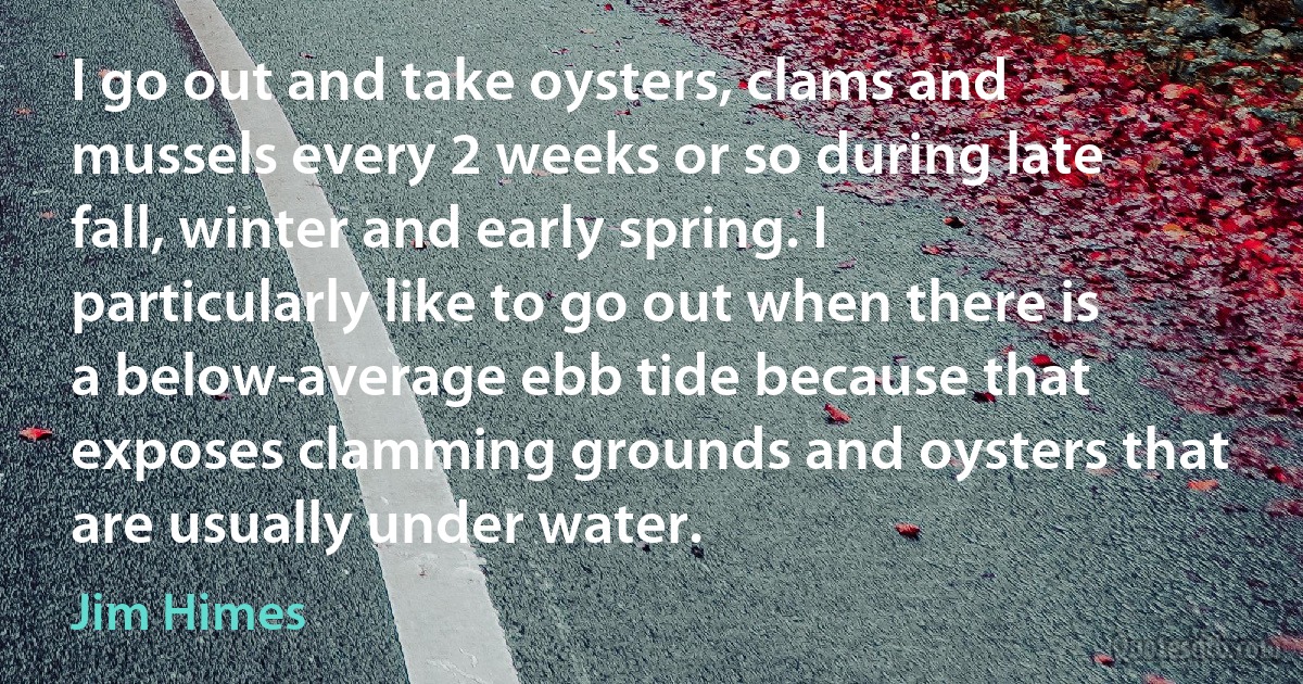 I go out and take oysters, clams and mussels every 2 weeks or so during late fall, winter and early spring. I particularly like to go out when there is a below-average ebb tide because that exposes clamming grounds and oysters that are usually under water. (Jim Himes)