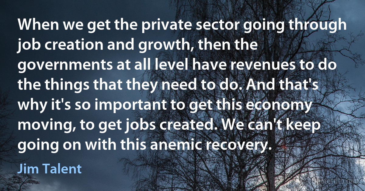 When we get the private sector going through job creation and growth, then the governments at all level have revenues to do the things that they need to do. And that's why it's so important to get this economy moving, to get jobs created. We can't keep going on with this anemic recovery. (Jim Talent)