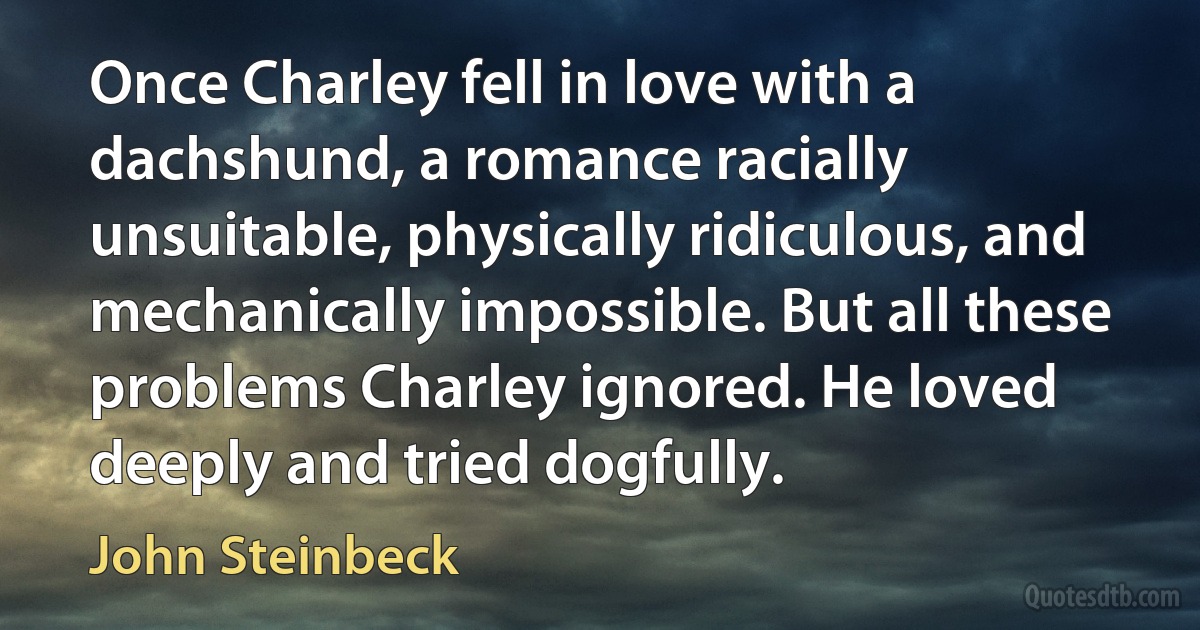 Once Charley fell in love with a dachshund, a romance racially unsuitable, physically ridiculous, and mechanically impossible. But all these problems Charley ignored. He loved deeply and tried dogfully. (John Steinbeck)