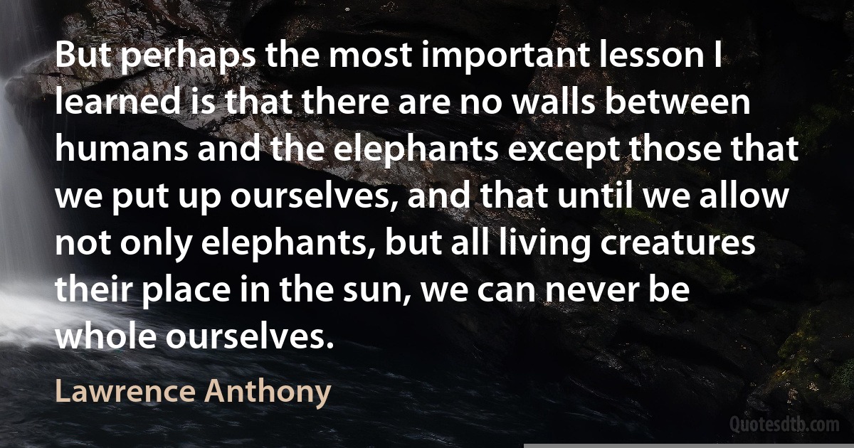 But perhaps the most important lesson I learned is that there are no walls between humans and the elephants except those that we put up ourselves, and that until we allow not only elephants, but all living creatures their place in the sun, we can never be whole ourselves. (Lawrence Anthony)