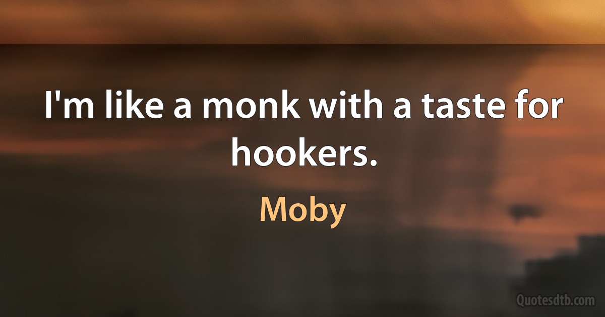 I'm like a monk with a taste for hookers. (Moby)