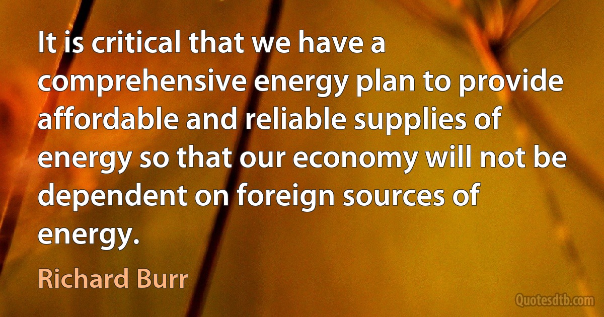 It is critical that we have a comprehensive energy plan to provide affordable and reliable supplies of energy so that our economy will not be dependent on foreign sources of energy. (Richard Burr)