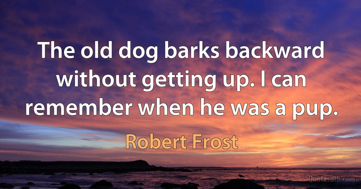 The old dog barks backward without getting up. I can remember when he was a pup. (Robert Frost)