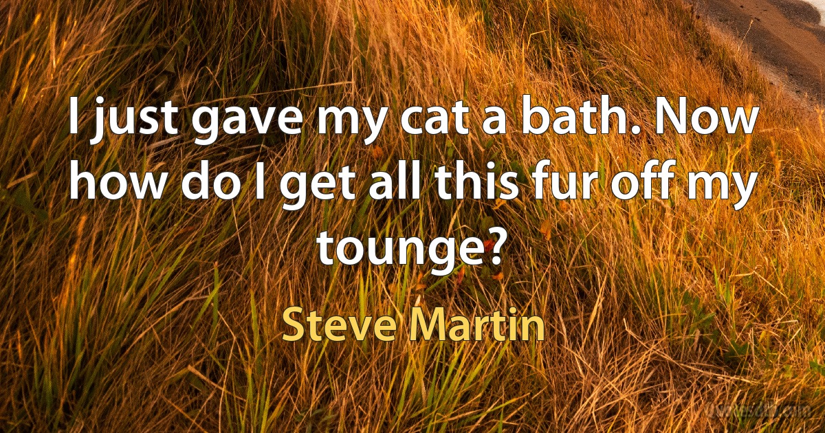 I just gave my cat a bath. Now how do I get all this fur off my tounge? (Steve Martin)