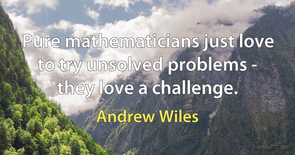 Pure mathematicians just love to try unsolved problems - they love a challenge. (Andrew Wiles)