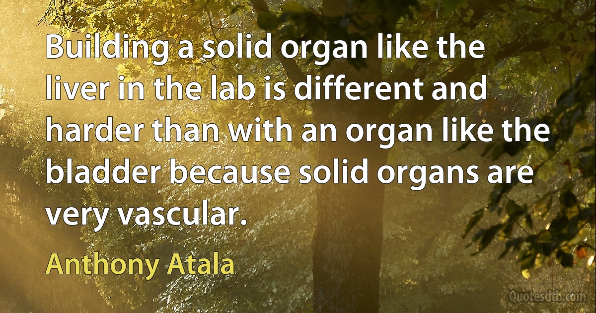 Building a solid organ like the liver in the lab is different and harder than with an organ like the bladder because solid organs are very vascular. (Anthony Atala)