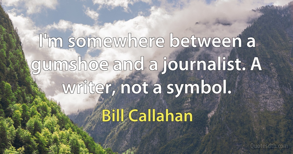 I'm somewhere between a gumshoe and a journalist. A writer, not a symbol. (Bill Callahan)