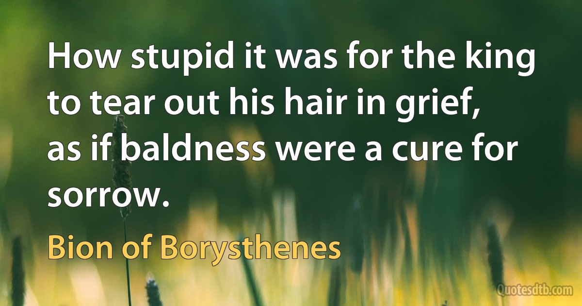 How stupid it was for the king to tear out his hair in grief, as if baldness were a cure for sorrow. (Bion of Borysthenes)