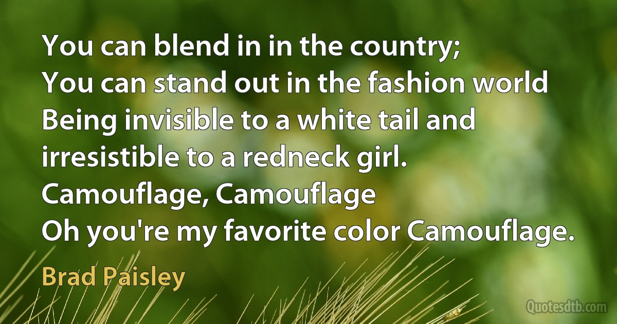 You can blend in in the country;
You can stand out in the fashion world
Being invisible to a white tail and irresistible to a redneck girl.
Camouflage, Camouflage
Oh you're my favorite color Camouflage. (Brad Paisley)