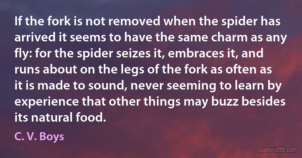 If the fork is not removed when the spider has arrived it seems to have the same charm as any fly: for the spider seizes it, embraces it, and runs about on the legs of the fork as often as it is made to sound, never seeming to learn by experience that other things may buzz besides its natural food. (C. V. Boys)