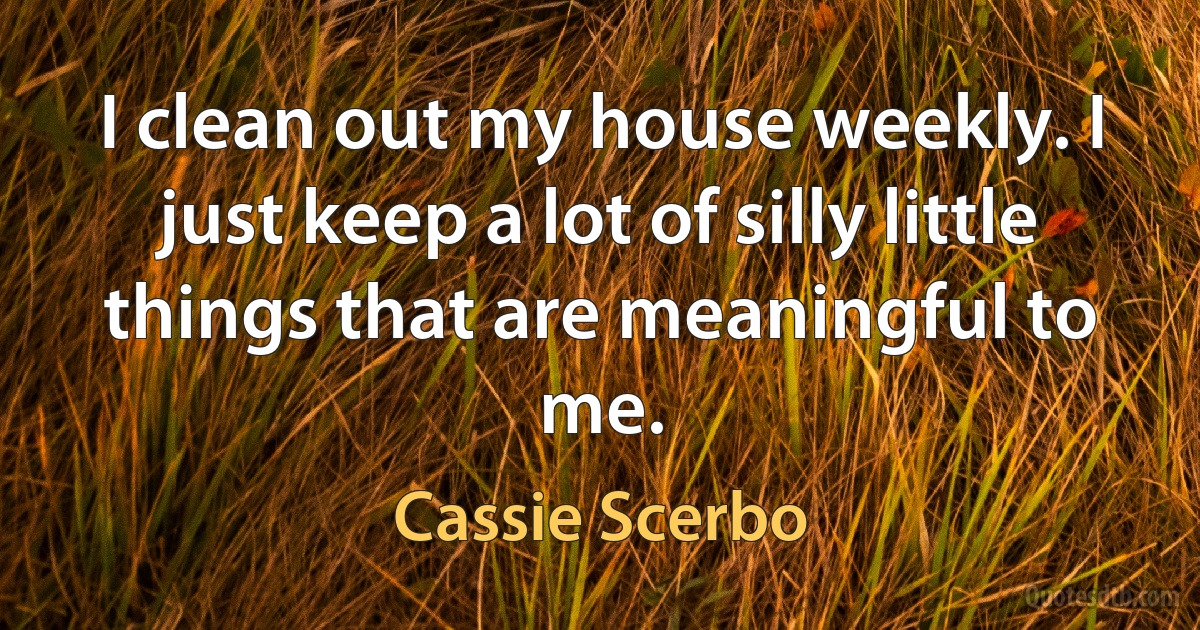 I clean out my house weekly. I just keep a lot of silly little things that are meaningful to me. (Cassie Scerbo)