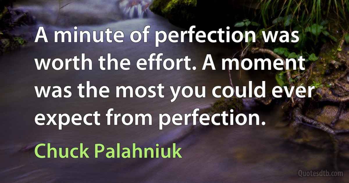 A minute of perfection was worth the effort. A moment was the most you could ever expect from perfection. (Chuck Palahniuk)