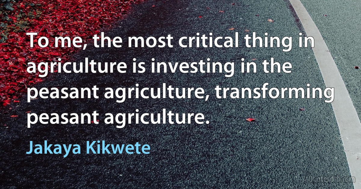 To me, the most critical thing in agriculture is investing in the peasant agriculture, transforming peasant agriculture. (Jakaya Kikwete)