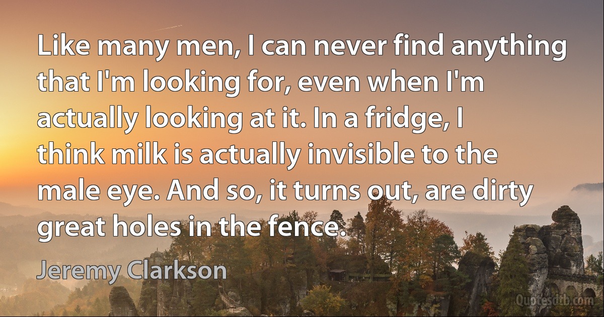 Like many men, I can never find anything that I'm looking for, even when I'm actually looking at it. In a fridge, I think milk is actually invisible to the male eye. And so, it turns out, are dirty great holes in the fence. (Jeremy Clarkson)