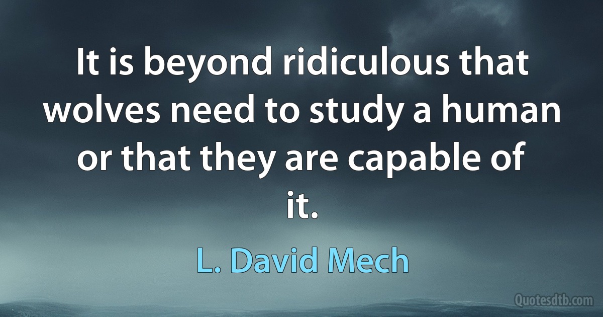 It is beyond ridiculous that wolves need to study a human or that they are capable of it. (L. David Mech)