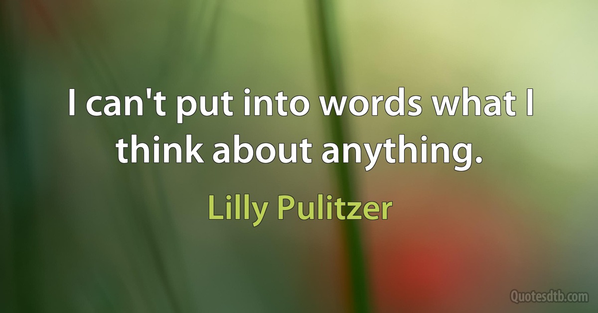 I can't put into words what I think about anything. (Lilly Pulitzer)