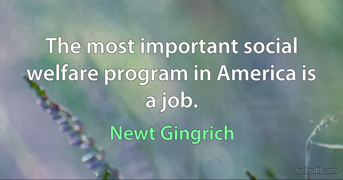 The most important social welfare program in America is a job. (Newt Gingrich)