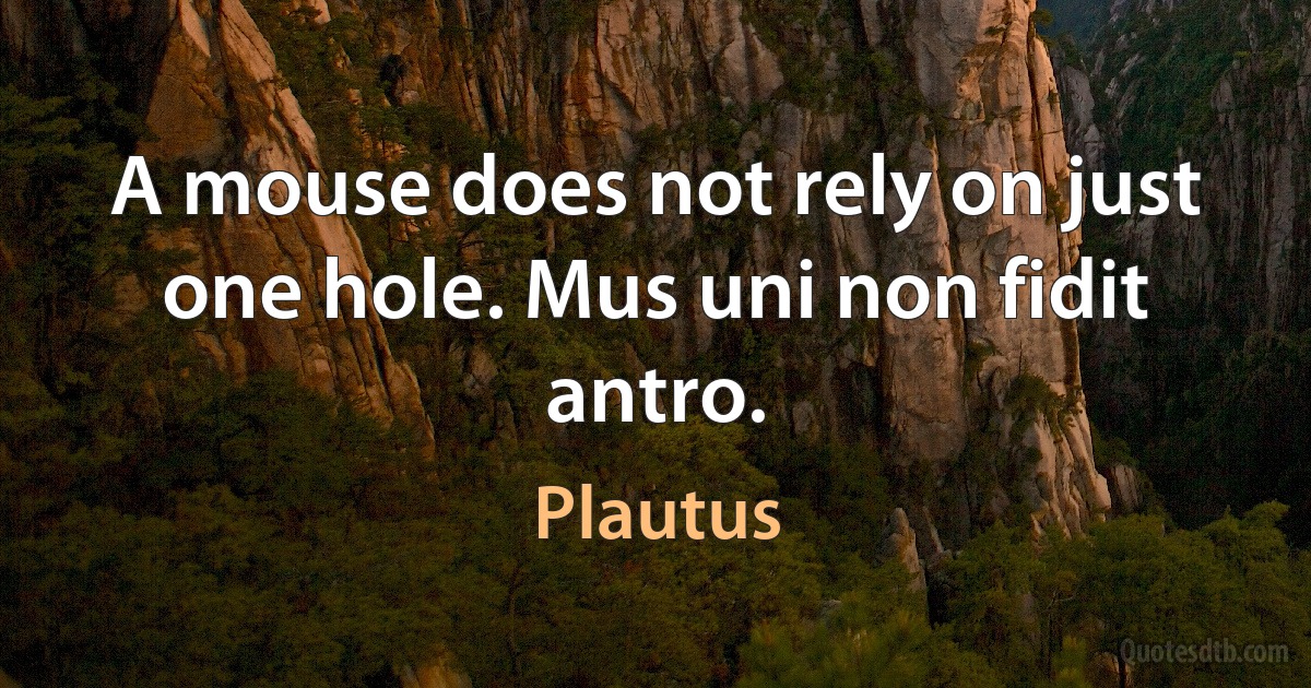 A mouse does not rely on just one hole. Mus uni non fidit antro. (Plautus)