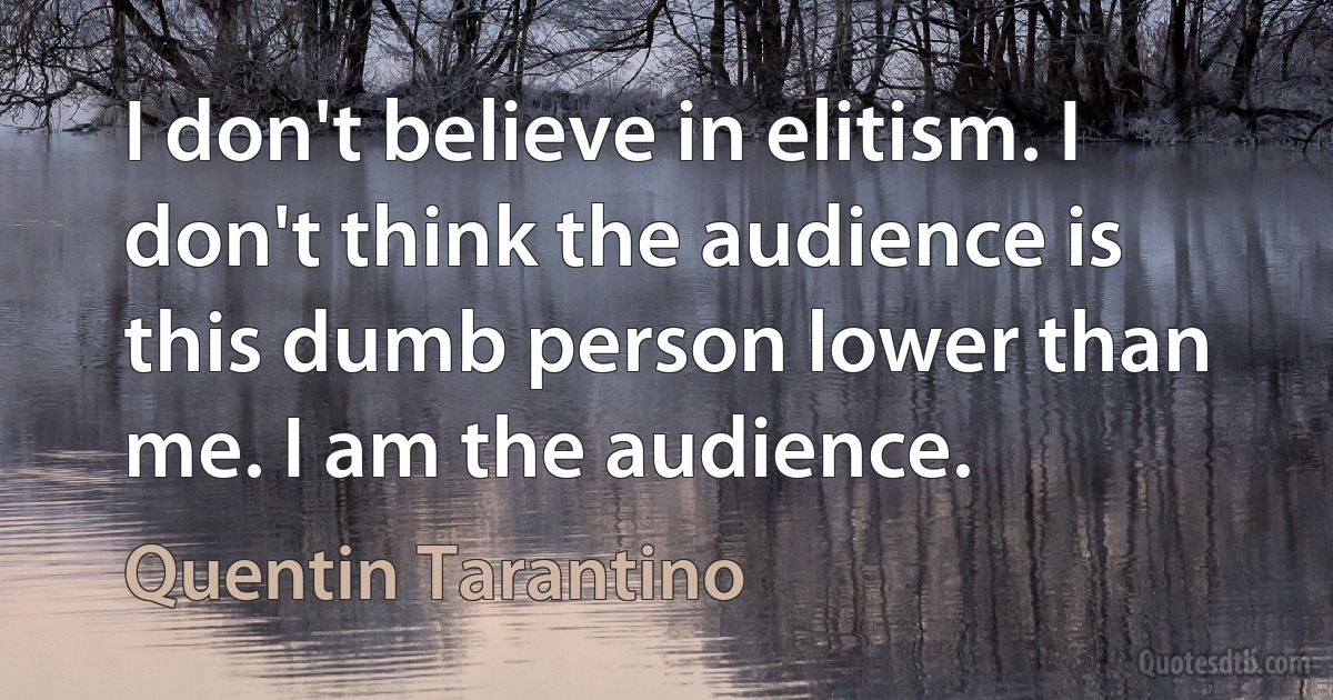 I don't believe in elitism. I don't think the audience is this dumb person lower than me. I am the audience. (Quentin Tarantino)