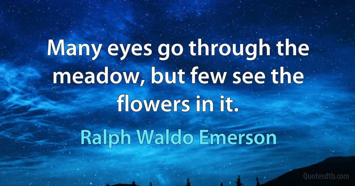 Many eyes go through the meadow, but few see the flowers in it. (Ralph Waldo Emerson)