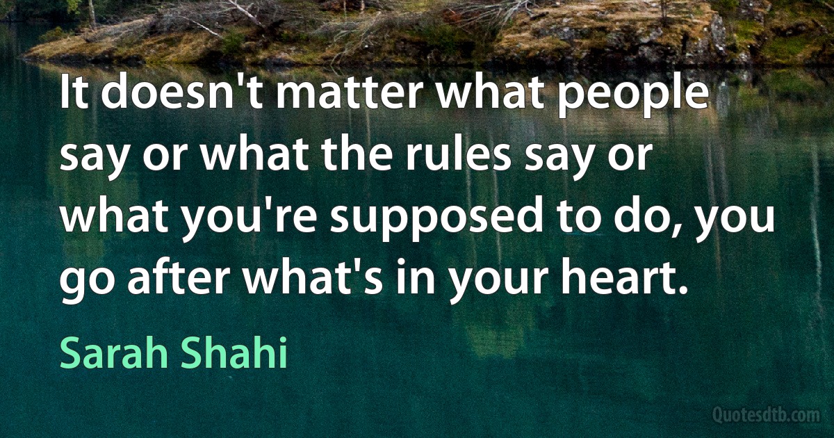 It doesn't matter what people say or what the rules say or what you're supposed to do, you go after what's in your heart. (Sarah Shahi)