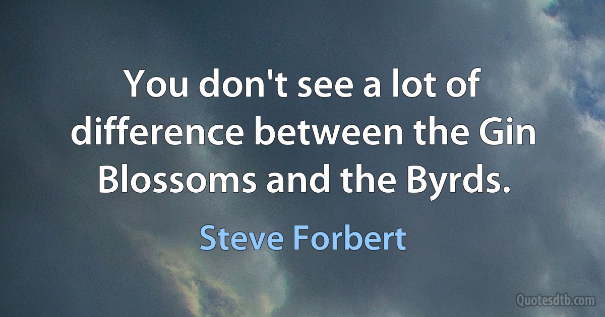 You don't see a lot of difference between the Gin Blossoms and the Byrds. (Steve Forbert)