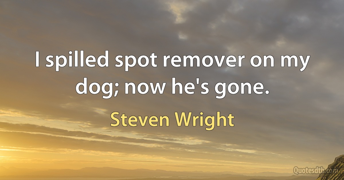 I spilled spot remover on my dog; now he's gone. (Steven Wright)