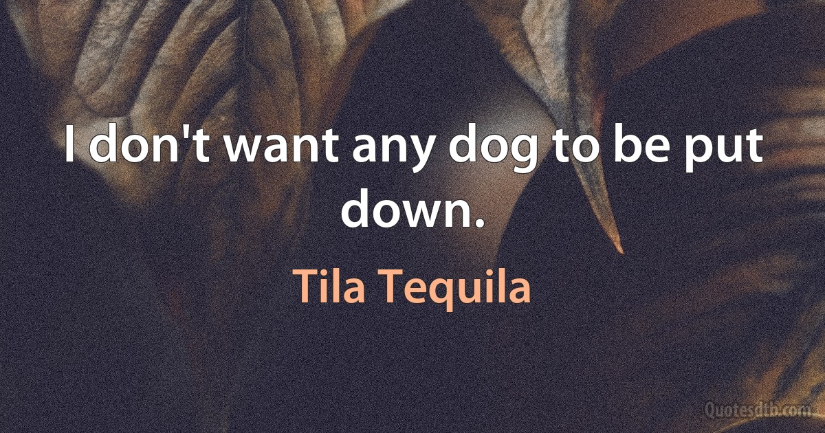 I don't want any dog to be put down. (Tila Tequila)