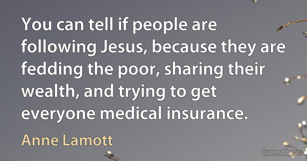 You can tell if people are following Jesus, because they are fedding the poor, sharing their wealth, and trying to get everyone medical insurance. (Anne Lamott)