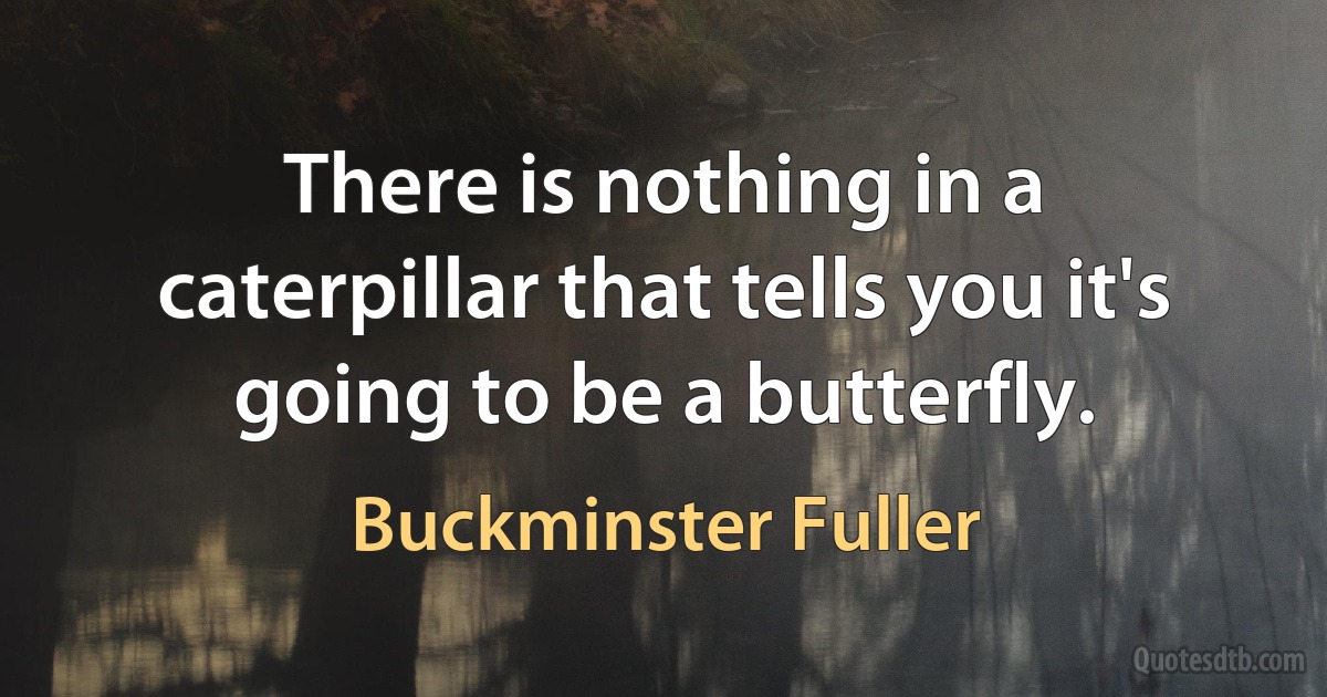 There is nothing in a caterpillar that tells you it's going to be a butterfly. (Buckminster Fuller)