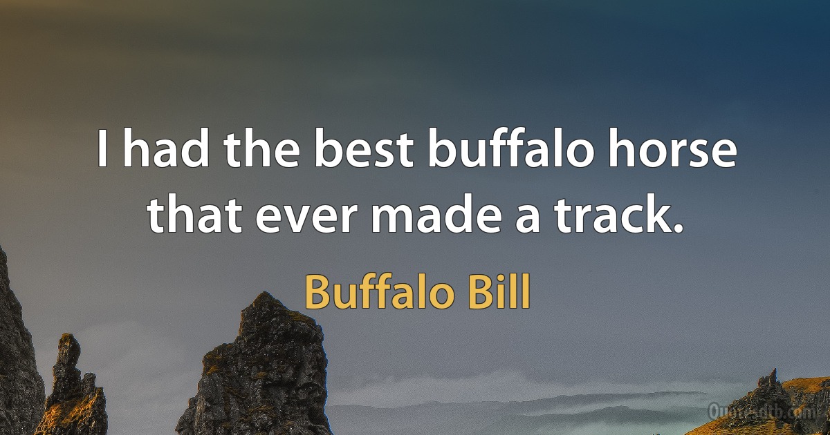 I had the best buffalo horse that ever made a track. (Buffalo Bill)