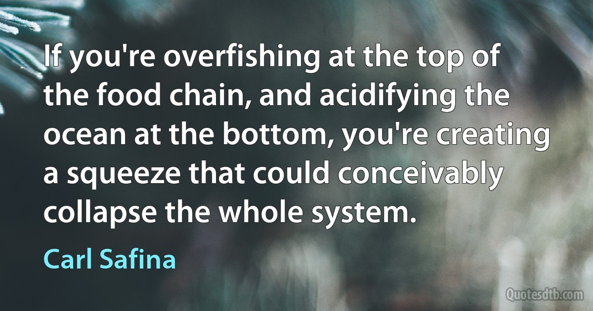 If you're overfishing at the top of the food chain, and acidifying the ocean at the bottom, you're creating a squeeze that could conceivably collapse the whole system. (Carl Safina)