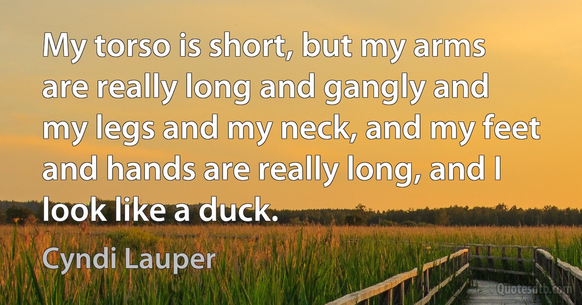 My torso is short, but my arms are really long and gangly and my legs and my neck, and my feet and hands are really long, and I look like a duck. (Cyndi Lauper)