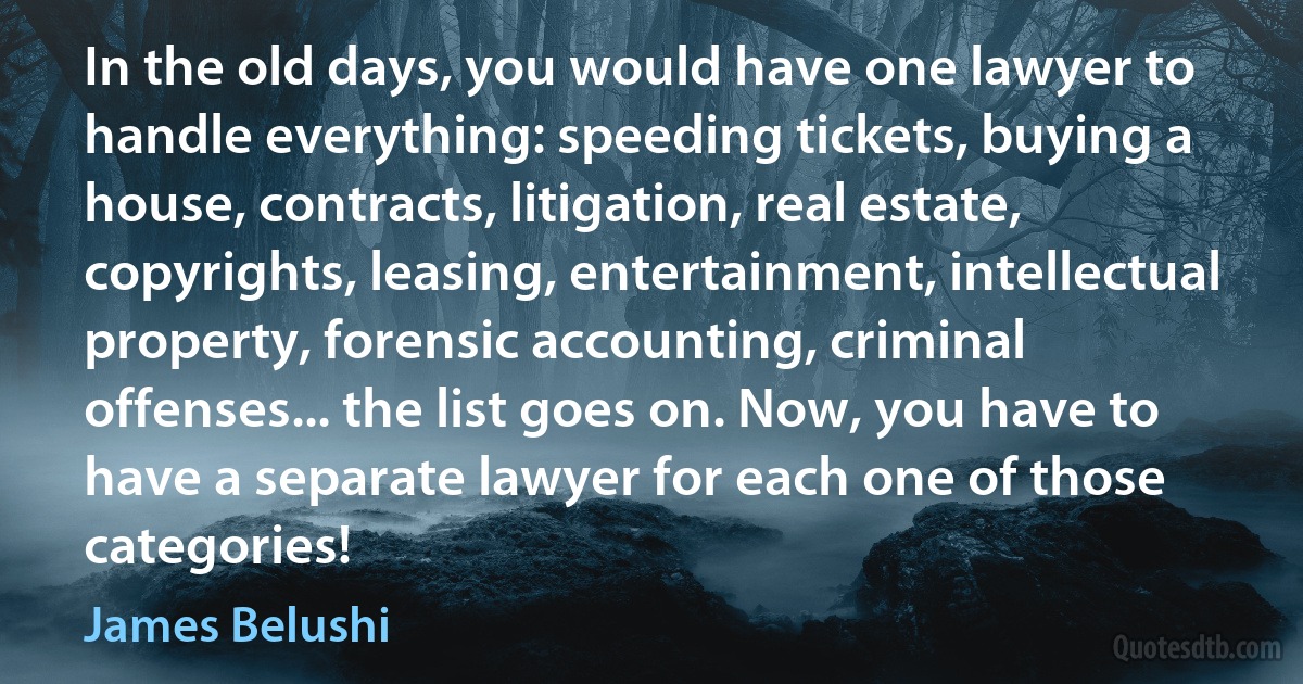 In the old days, you would have one lawyer to handle everything: speeding tickets, buying a house, contracts, litigation, real estate, copyrights, leasing, entertainment, intellectual property, forensic accounting, criminal offenses... the list goes on. Now, you have to have a separate lawyer for each one of those categories! (James Belushi)