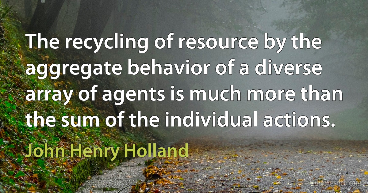 The recycling of resource by the aggregate behavior of a diverse array of agents is much more than the sum of the individual actions. (John Henry Holland)