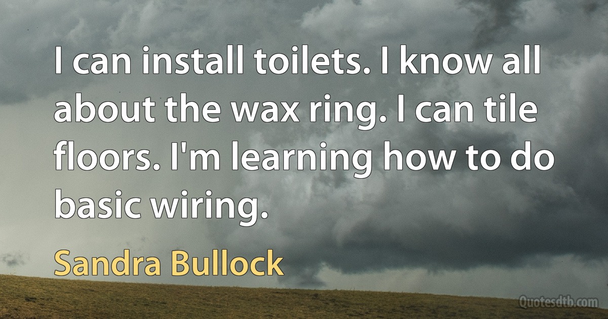 I can install toilets. I know all about the wax ring. I can tile floors. I'm learning how to do basic wiring. (Sandra Bullock)