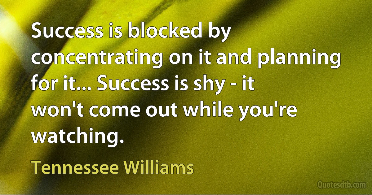 Success is blocked by concentrating on it and planning for it... Success is shy - it won't come out while you're watching. (Tennessee Williams)