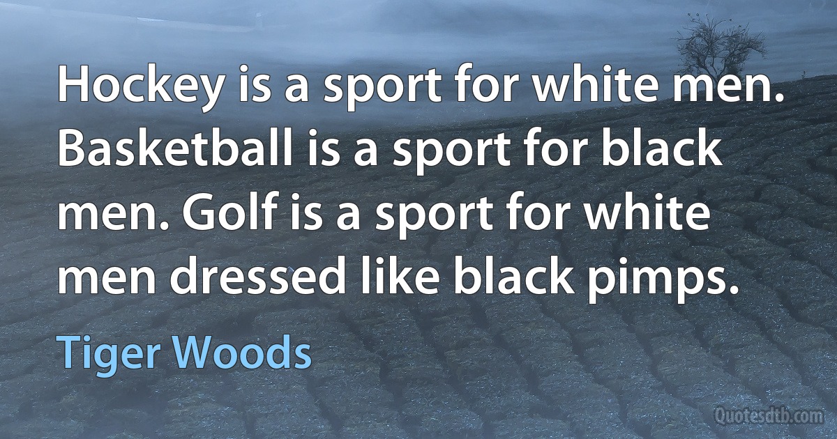 Hockey is a sport for white men. Basketball is a sport for black men. Golf is a sport for white men dressed like black pimps. (Tiger Woods)