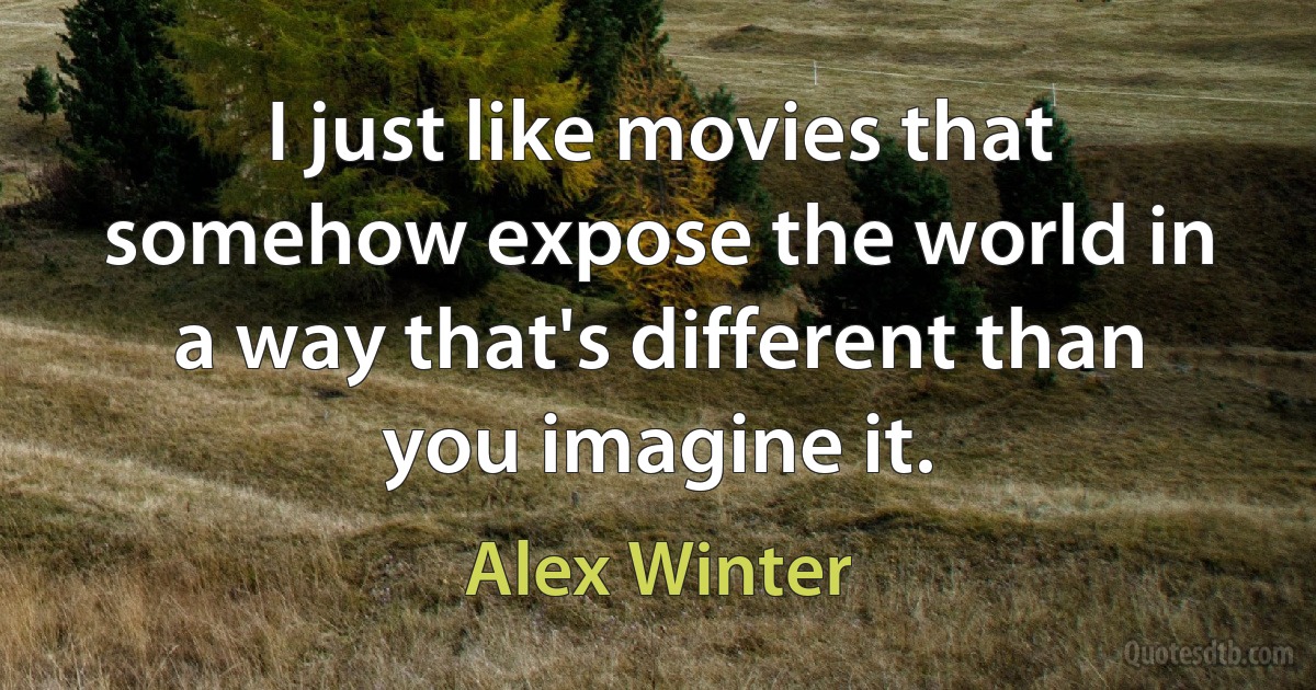 I just like movies that somehow expose the world in a way that's different than you imagine it. (Alex Winter)