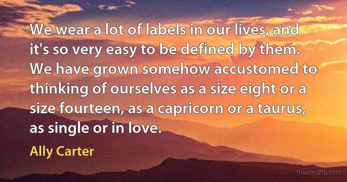 We wear a lot of labels in our lives, and it's so very easy to be defined by them. We have grown somehow accustomed to thinking of ourselves as a size eight or a size fourteen, as a capricorn or a taurus, as single or in love. (Ally Carter)