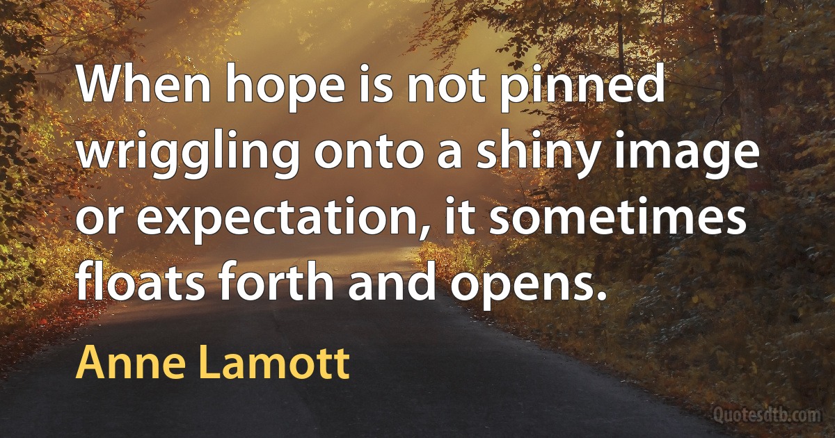 When hope is not pinned wriggling onto a shiny image or expectation, it sometimes floats forth and opens. (Anne Lamott)