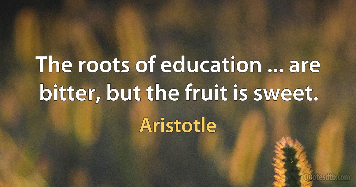 The roots of education ... are bitter, but the fruit is sweet. (Aristotle)