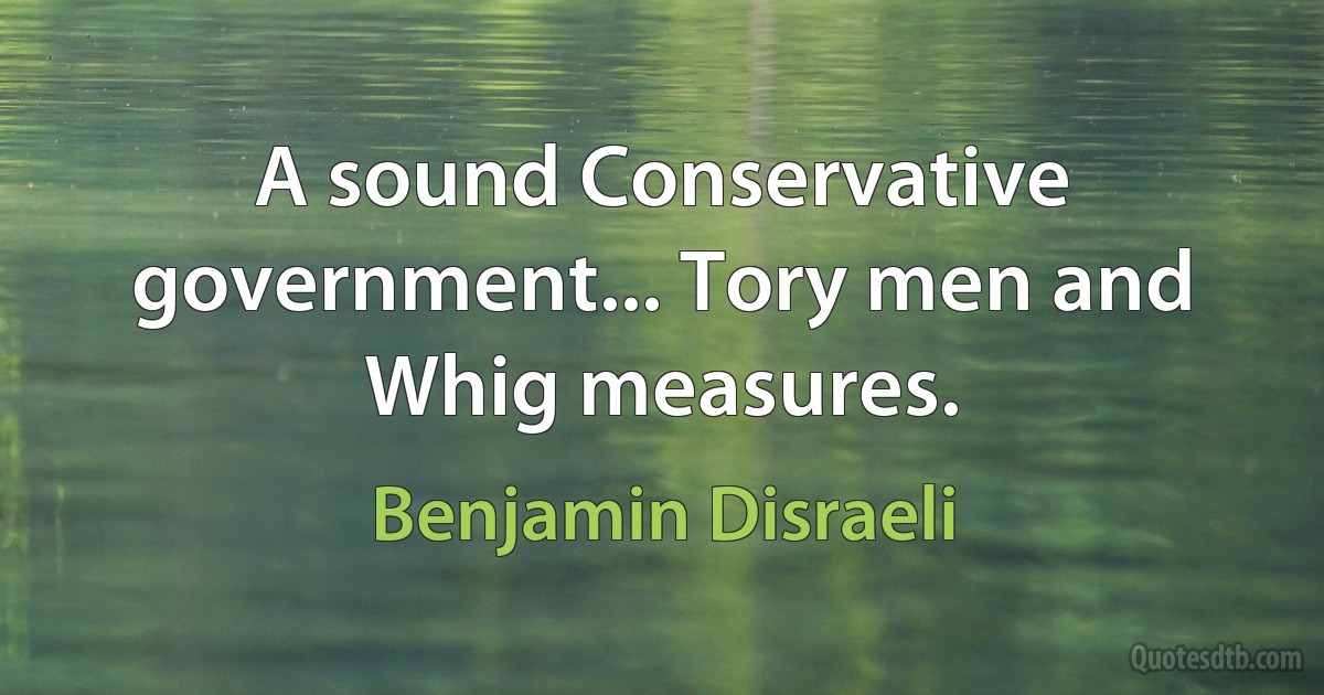 A sound Conservative government... Tory men and Whig measures. (Benjamin Disraeli)